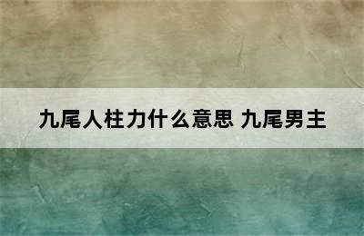 九尾人柱力什么意思 九尾男主